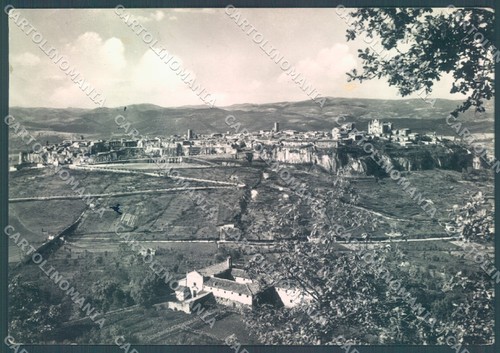 Terni orvieto alterocca - alterocca, 31233