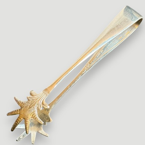 Coppia pinze zucchero - coppia,