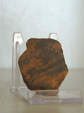 Frammento di Meteorite ferroso ,Nord Africa-75 grammi -