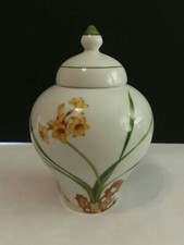 Barattolo Zenzero Disegno