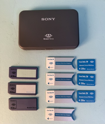 Lotto 256 sandisk memory - 256,