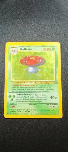 Raflésia holo rare - 15/64,