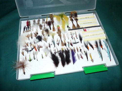 100 mosche trota - ,