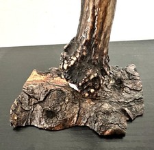 SOPRAMMOBILE CON CORNO DI
