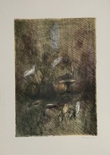 Pierluigi lavagnino - pierluigi,