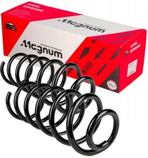 2 molle sospensione Magnum