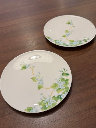 Set piatti motivo floreale - set, 2