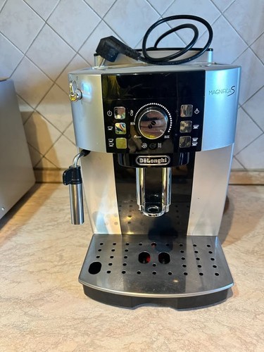 Longhi magnifica - magnifica, s
