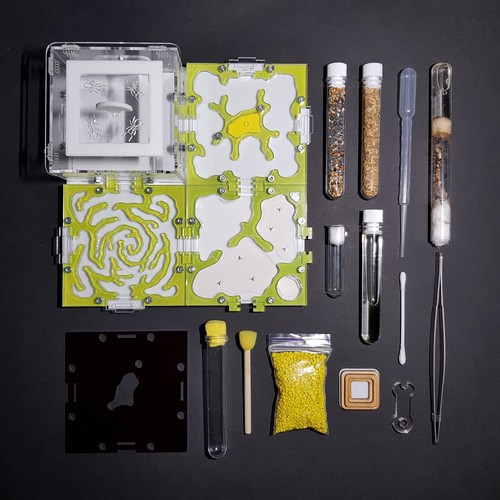 Formicaio starter kit - formicaio, (incluso