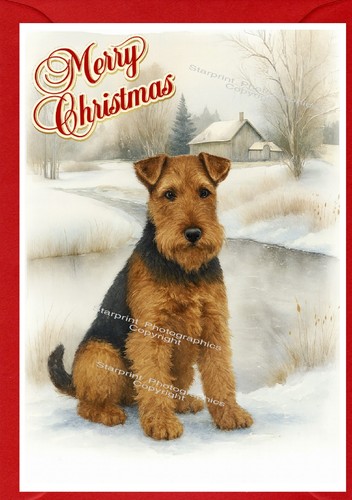 Biglietto natale welsh - biglietto,