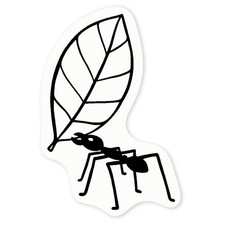 Decalcomanie adesive