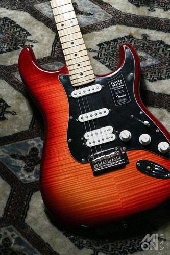 Lettore fender stratocaster - fender,