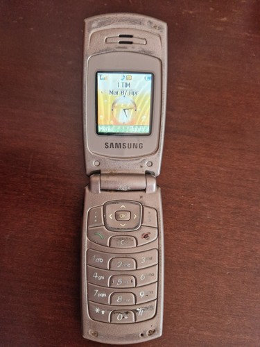 Samsung sgh x150 funzionante - sgh-x150,