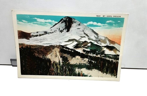 Cartolina epoca 1920 mount - d'epoca,