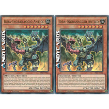 IDRA-INGRANAGGIO ANTICO 2x •