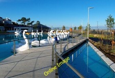 Photo 6x4 The 'Pickie Swans'