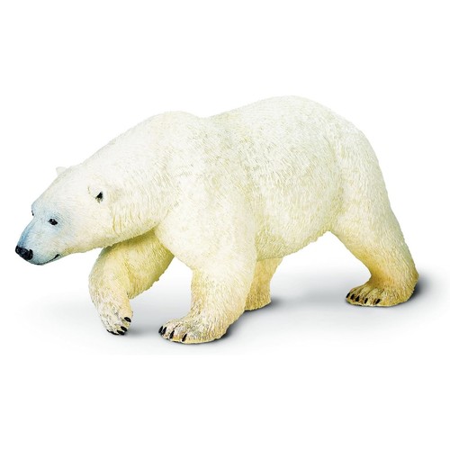 Grande orso polare safari - orso,