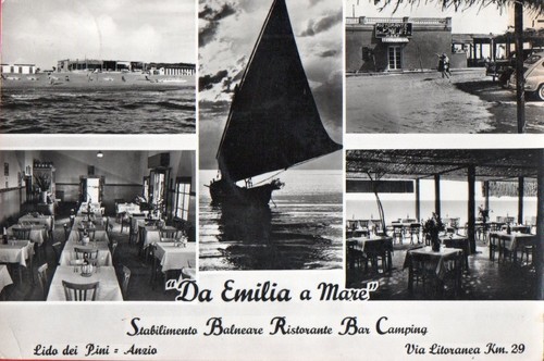 Lido dei pini - lido,