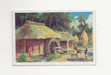 39/904 QUADRO DA COLLEZIONE NIKKO MULINO RISO ASINO