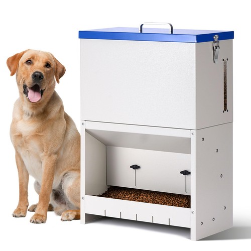 Mangiatoia automatica per cani - per,