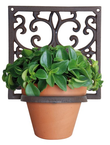 Porta anelli vaso - , piante