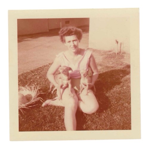 Foto istantanea vintage 1955