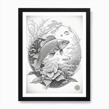 Quadro Asagi Koi Fish Haeckel