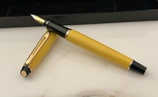 Fountain pen WATERMAN Expert II Racing Edition