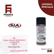 Pulitore Sistema Alimentazione Valvole EGR Pulizia Interna Esterna Carburatore