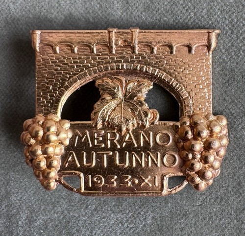 Spilla pin raccolta uva merano - spilla,