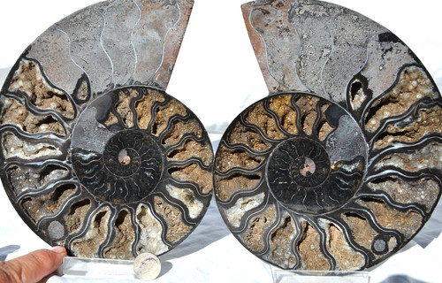 Grande coppia cristalli