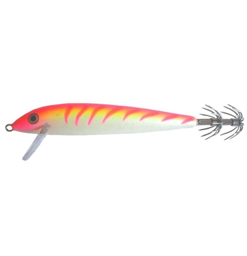 Totanara rapala squid - rapala, cm11