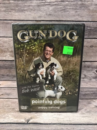 Gun dog pointing dogs puppy - dog,