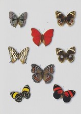 stampe antiche originali