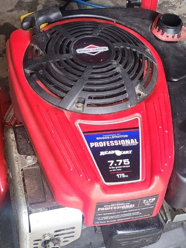 Briggs stratton professional - briggs,