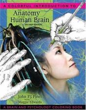 A Colorful Introduction to the Anatomy of the Human Brain: A Brain and...