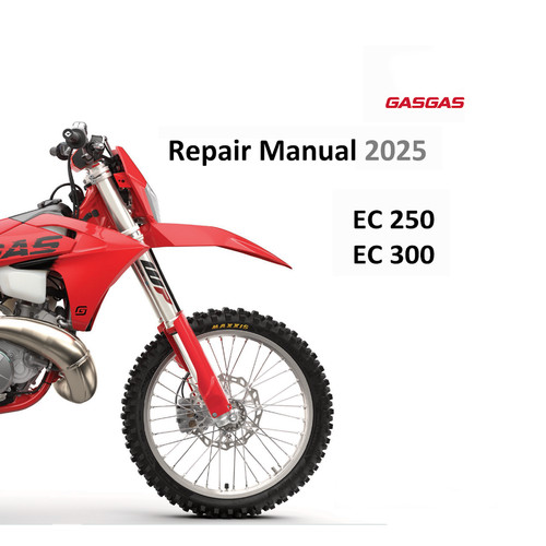 2025 manuale riparazione - 2025,