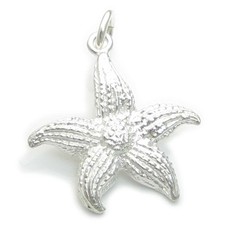Ciondolo in argento sterling