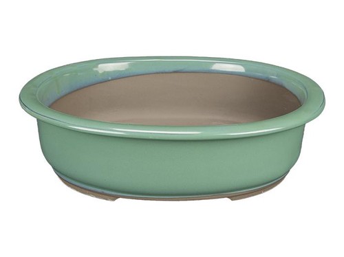 Vaso per bonsai giapponese - bonsai,