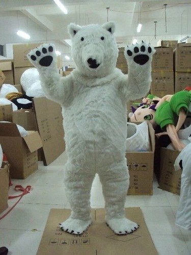 Costume mascotte orso - , polare