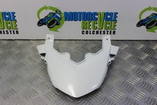 Kawasaki Z 1000 Pannello Coda