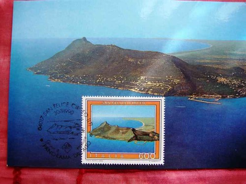 Cartolina maximafilia - cartolina,