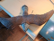 UCCELLO  DA RICHIAMO VECCHIO D'EPOCA -   LEGGI