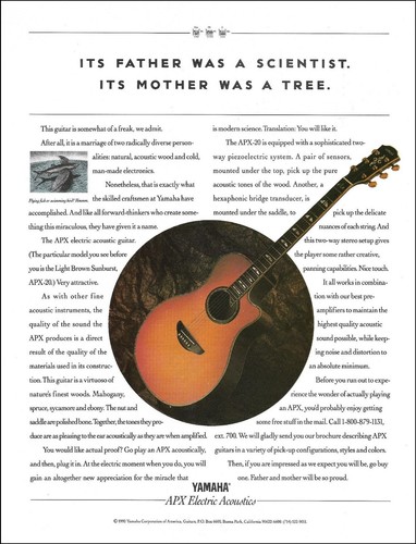 Pubblicità chitarra acustica