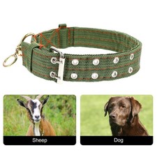  2pcs ispessuiti Collar Collar