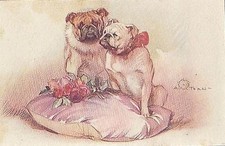 ALEARDO TERZI CANI BULL DOG