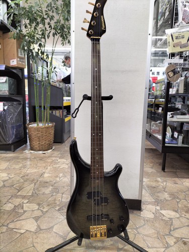 Fernandes basso elettrico - basso,