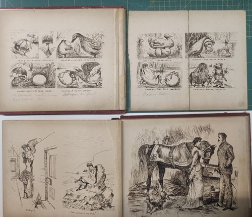 Lotto album disegni penna - a,
