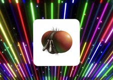 R0blox toy code freaky fly - r0blox,