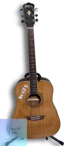 Chitarra acustica washburn - chitarra,